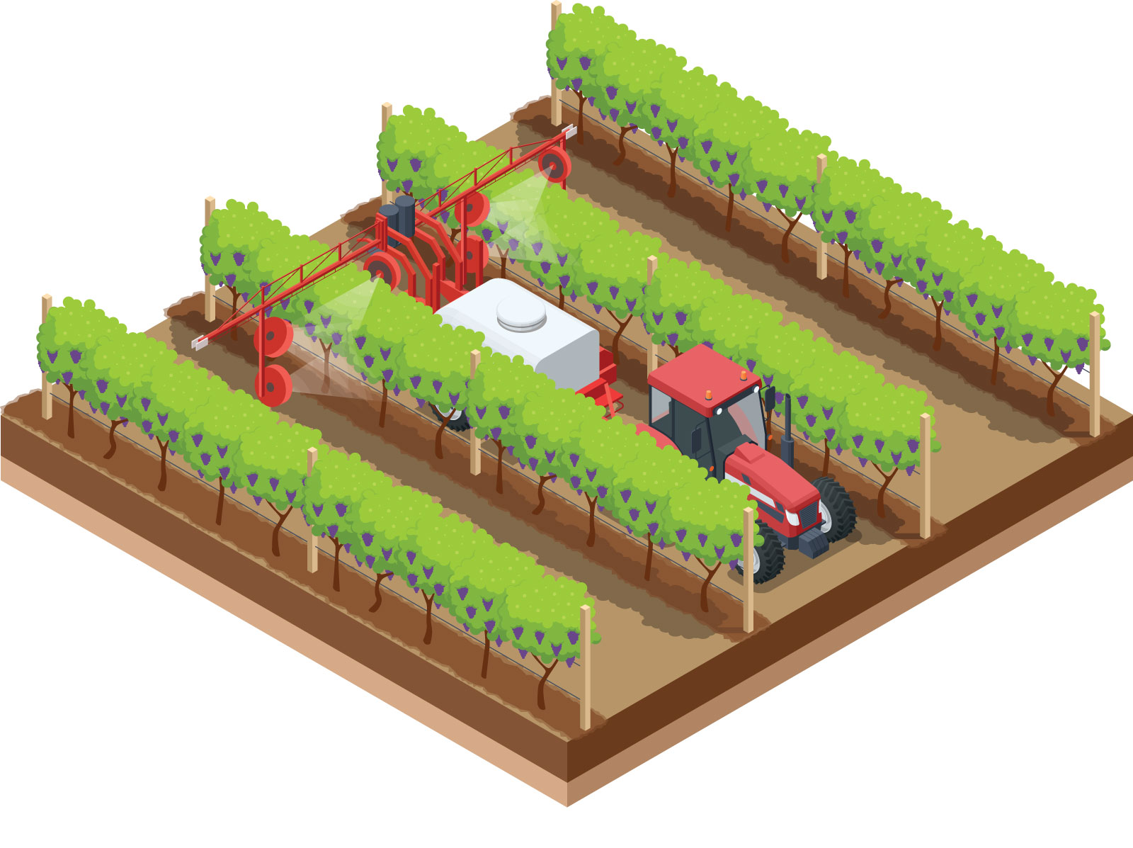 Illustration of tractor sprayer in vineyard