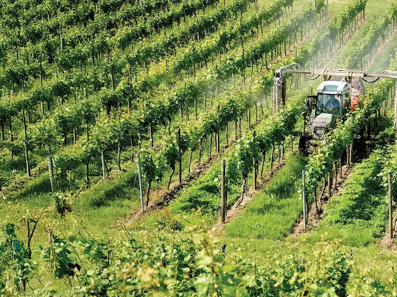 sprayer-in-vineyard-blurb